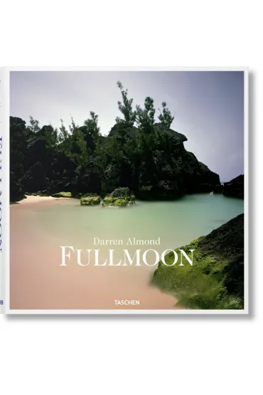 Fullmoon. Darren Almond - Darren  Almond