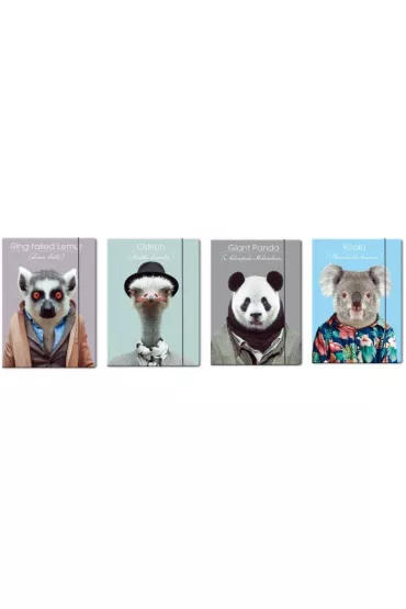 Beniamin Teczka z gumk� A4 Zoo Portraits