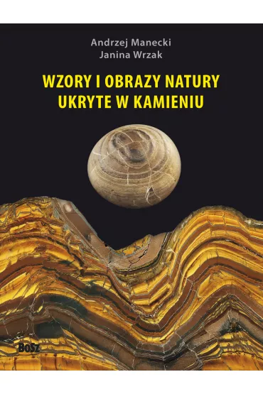 Wzory i obrazy natury ukryte w kamieniu - Andrzej Manecki, Andrzej Maniecki, Janina Wrzak