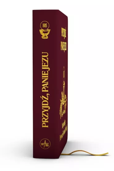 Przyjd� Panie Jezu. Na pami�tk� Pierwszej Komunii �wi�tej - Stanis�aw Gro�