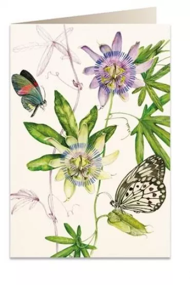 Tassotti Karnet B6 + koperta 6089 Passiflora