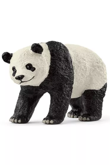Panda Wielka