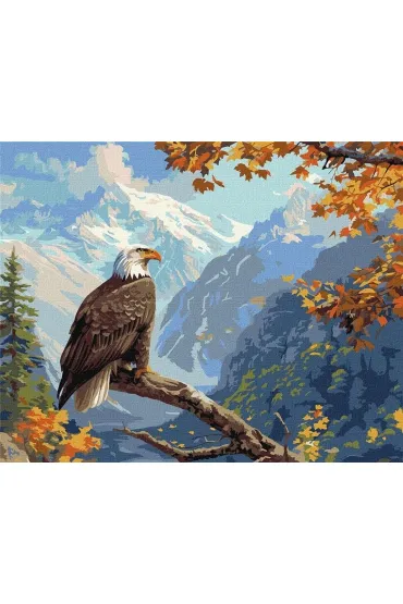 Ideyka Malowanie po numerach - Stra�nik szczytu 40x50cm
