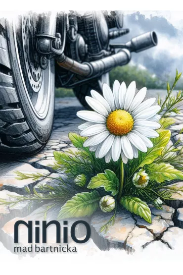 eBook Ninio pdf mobi epub - Mad Bartnicka