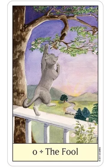 Cats Eye Tarot, karty do wr�enia - Debra M Givin