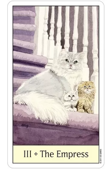 Cats Eye Tarot, karty do wr�enia - Debra M Givin