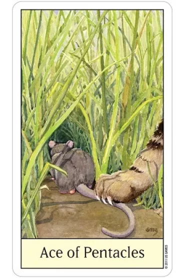 Cats Eye Tarot, karty do wr�enia - Debra M Givin