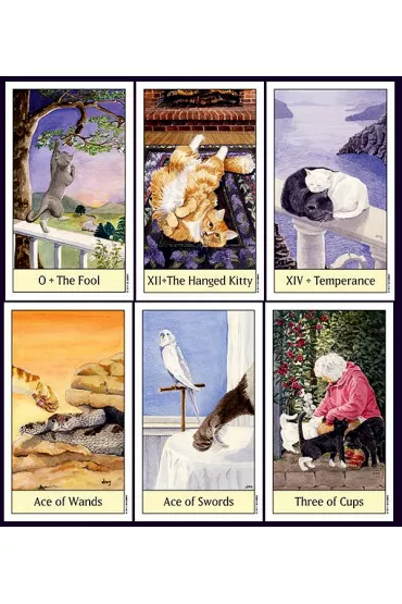 Cats Eye Tarot, karty do wr�enia - Debra M Givin