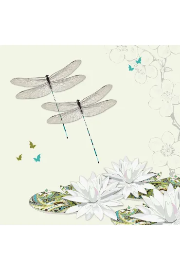 Clear Creations Karnet Swarovski CL0503 Wa�ki