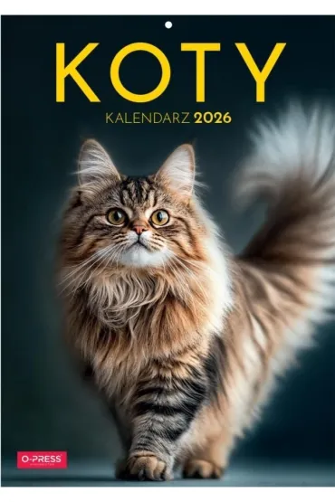 Opress Kalendarz 2026 A4 wieloplanszowy Koty