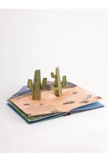 The Weather. Pop-up Book wer. angielska - Maike Biederstadt