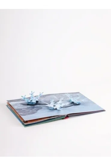 The Weather. Pop-up Book wer. angielska - Maike Biederstadt