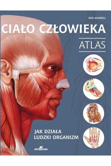 Cia�o cz�owieka. Atlas. Jak dzia�a ludzki organizm - Ken Ashwell