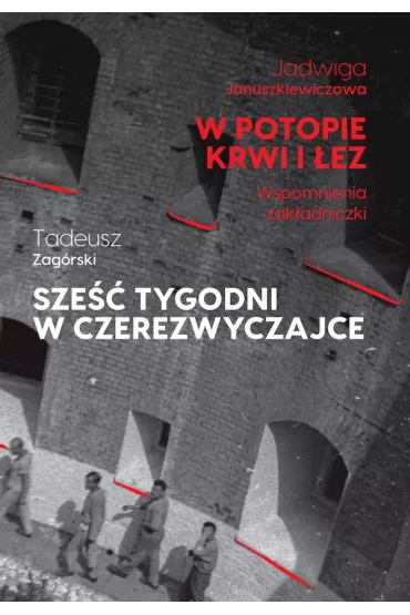 W potopie krwi i �ez. Sze�� tygodni w czerezwyczajce - Jadwiga  Januszkiewiczowa, Tadeusz  Zag�rski