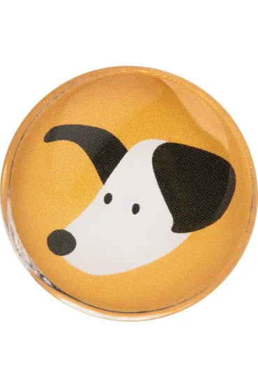 Happy Color, Magnesy szklane 6 szt - CAT&DOG