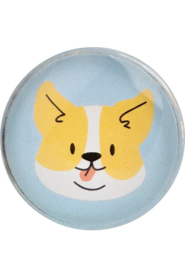 Happy Color, Magnesy szklane 6 szt - CAT&DOG