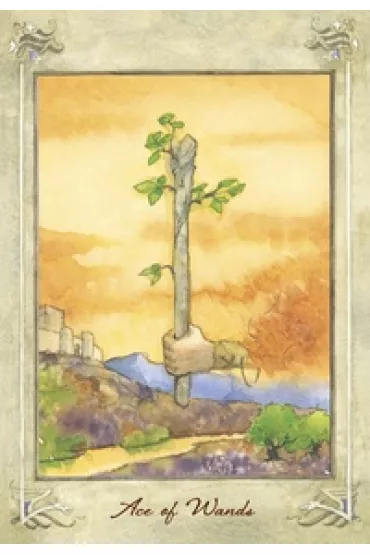 Llewellyn Tarot - Anna-Marie Ferguson