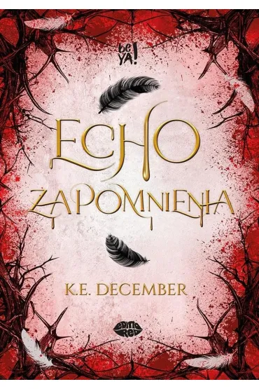 Echo zapomnienia - K. E. December