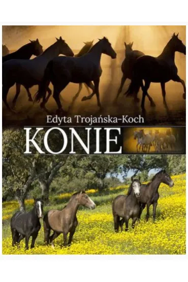 Konie - Edyta Troja�ska-Koch