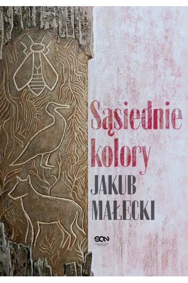 Ssiednie kolory - Jakub Maecki