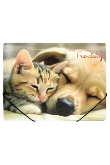 Panta Plast Teczka A4 PP na gumk� z nadrukiem Friendship