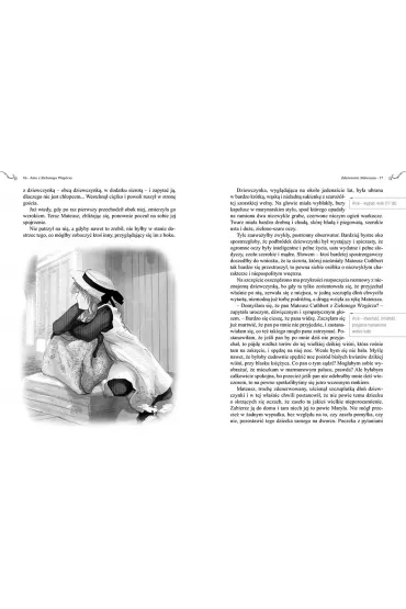 Ania z Zielonego Wzgrza - Lucy Maud Montgomery