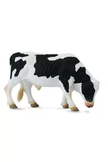 Byk Friesian