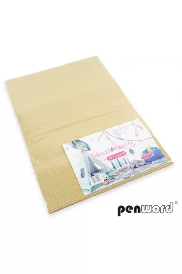 Penword Tektura falista A3 eko 5 szt.