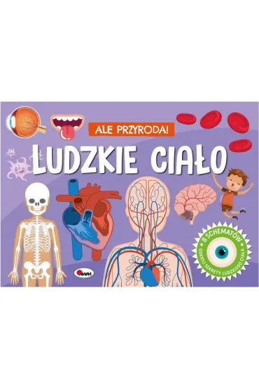 KSIAZECZKA EDUK 255X185 OPR TW LUDZ CIALO 3D AWM - El�bieta  Korolkiewicz