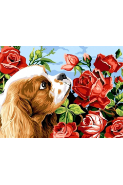 Norimpex Malowanie po numerach. Pies z rami 40 x 50 cm