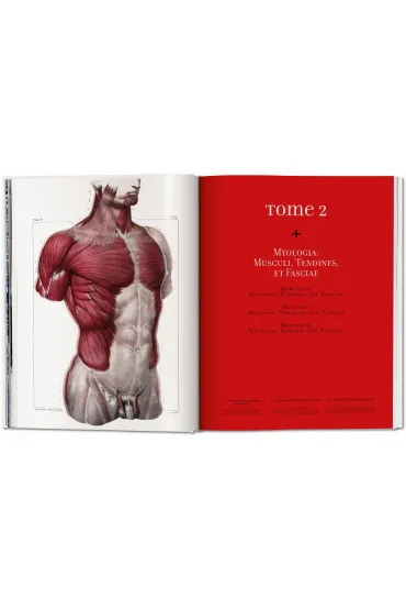 Atlas of Human Anatomy AND Surgery - Jean Marc Bourgery