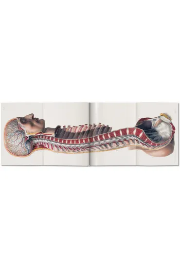 Atlas of Human Anatomy AND Surgery - Jean Marc Bourgery