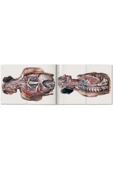Atlas of Human Anatomy AND Surgery - Jean Marc Bourgery