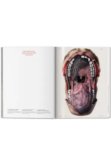 Atlas of Human Anatomy AND Surgery - Jean Marc Bourgery
