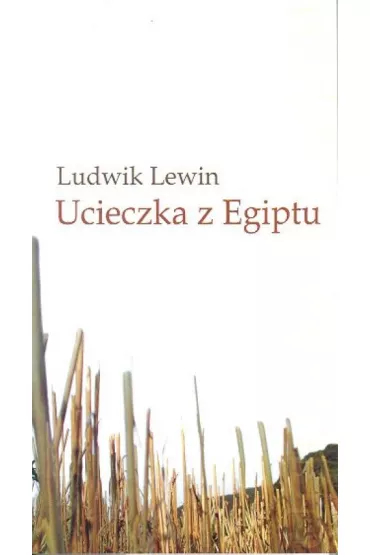Ucieczka z Egiptu - Lewin Ludwik