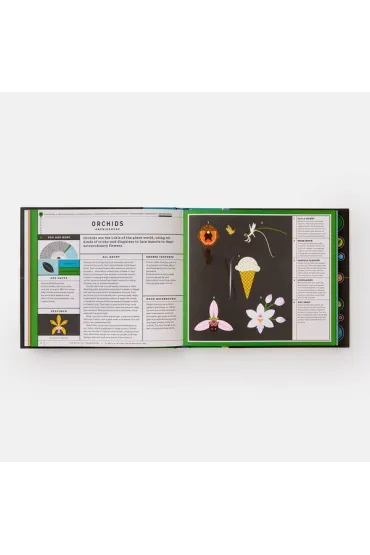 Full of Life. Exploring Earth`s Biodiversity - Isabel Thomas