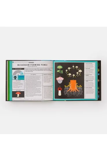 Full of Life. Exploring Earth`s Biodiversity - Isabel Thomas