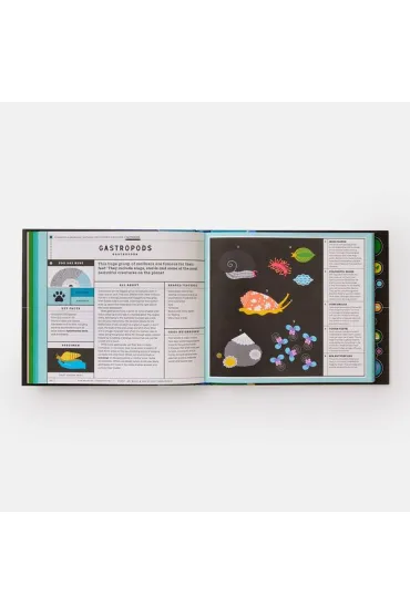 Full of Life. Exploring Earth`s Biodiversity - Isabel Thomas