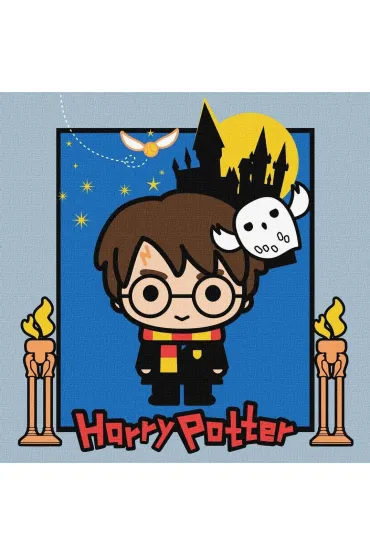 Ideyka Malowanie po numerach - Harry Potter 25x25cm