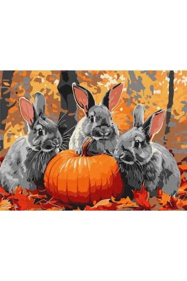 Ideyka Malowanie po numerach - Przygody z kr�likiem 30x40cm