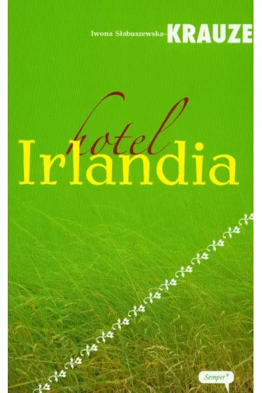 Hotel Irlandia - Iwona S�abuszewska-Krauze