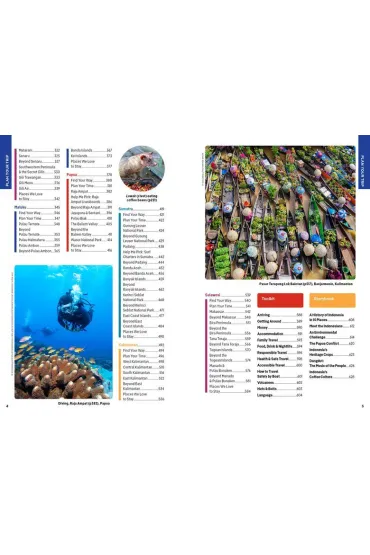 Indonesia. Lonely Planet - Dafaux Marini