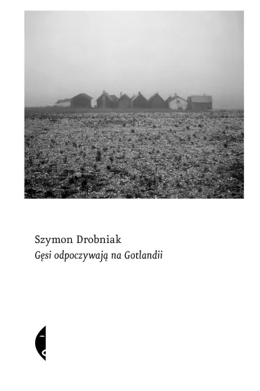 G�si odpoczywaj� na Gotlandii - Szymon Drobniak