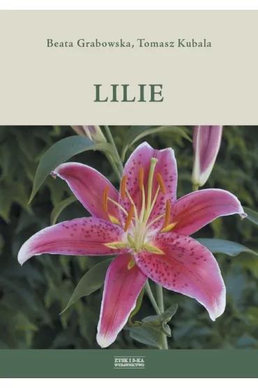 Lilie - Beata Grabowska, Tomasz Kubala