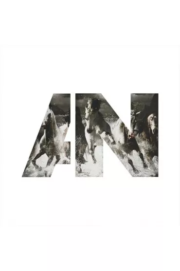 Run - Awolnation