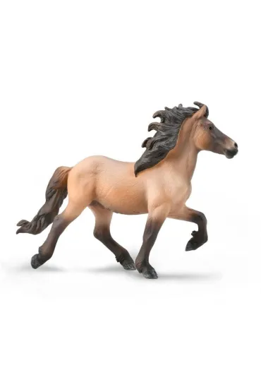 Icelandic Stallion Bay Dun