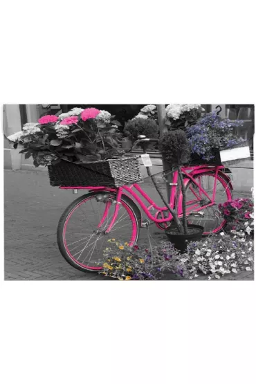 Panta Plast Koperta A5 na nap� z nadrukiem Bike