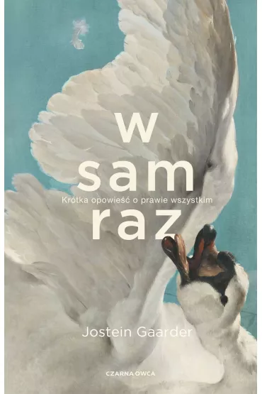 W sam raz. Kr�tka opowie�� o prawie wszystkim - Jostein Gaarder