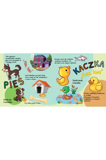 Akademia przedszkolaka. Zwierz�tka