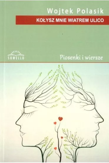 Ko�ysz mnie wiatrem ulico - Wojtek Polasik